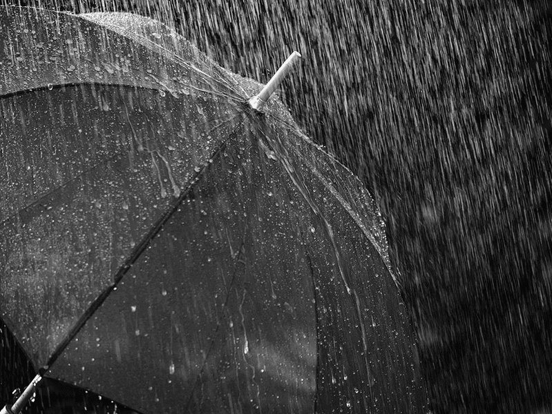 Regulation needed to rain on ‘umbrella company’ parade to keep the job market afloat