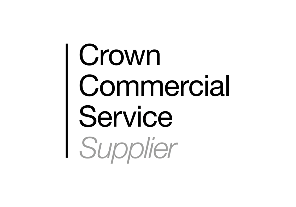 Text reading "Supplier" in grey, within a logo featuring stylised text.